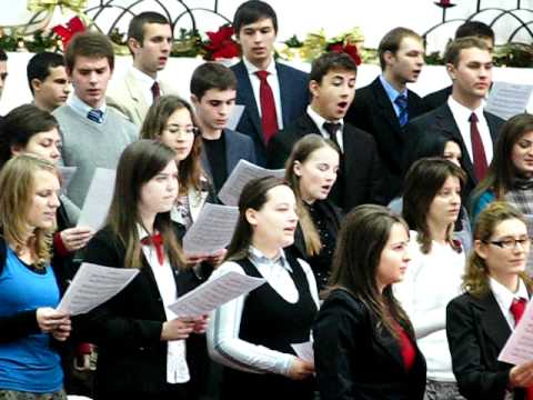 Universitatea Emanuel Oradea (management) - Cant aleluia