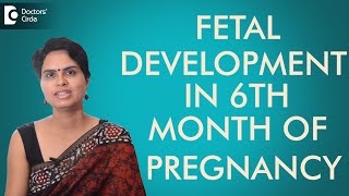 6th Month - Fetal development in sixth month of pregnancy- Dr. Shefali Tyagi