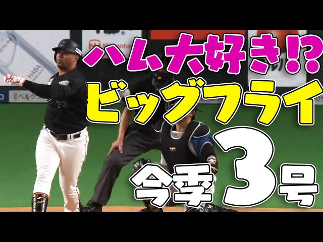 【ビックフライ】ハム大好き!? マリーンズ・マーティン 今季第3号