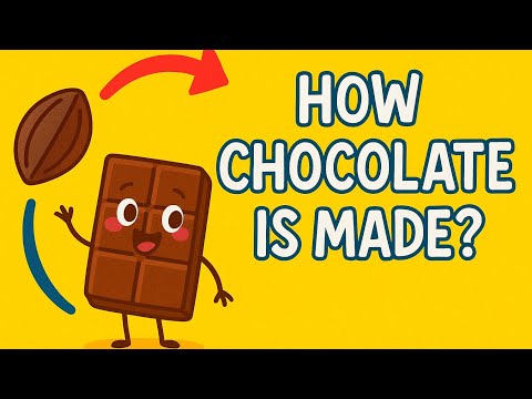 How Is Chocolate Made? Fun Factory Tour for Kids! | Learning with Fun💥