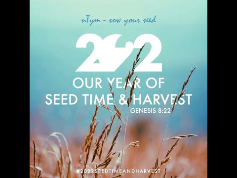 Ntym - Sow Your Seed  [Audio Slide]