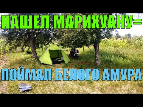 МОПЕДОМ НА МОРЕ. Проехал Днепр. Рыбалка на белого амура. УкрТур 3 серия