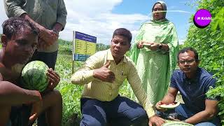 Japan cultivates 2 varieties of watermelon
