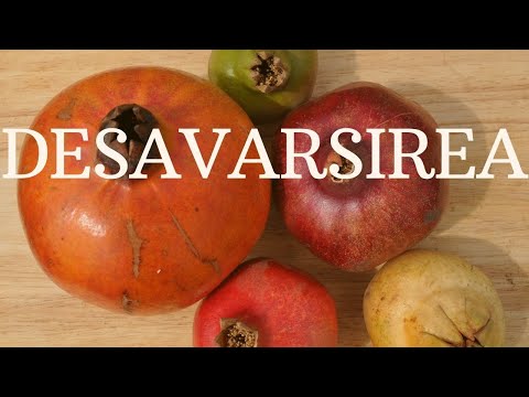 Efeseni 4 p1 Cresterea si maturizarea in credinta. Cum creste Trupul lui Hristos