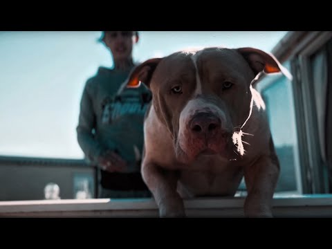 Hood Poet - Burnt Bridges [Music Video]