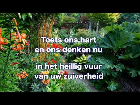 Opwekking 689 Spreek o Heer 1B