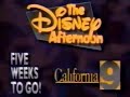 The Disney Afternoon Promo 1990