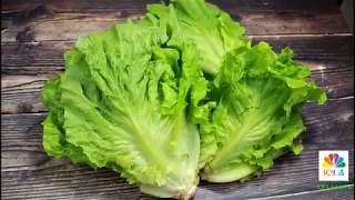 生菜就这样做好吃，清甜脆嫩，营养也不流失，我家一周吃好几次