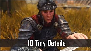 Skyrim: Yet Another 10 Tiny Details That You May Still Have Missed in The Elder Scrolls 5 (Part 14)