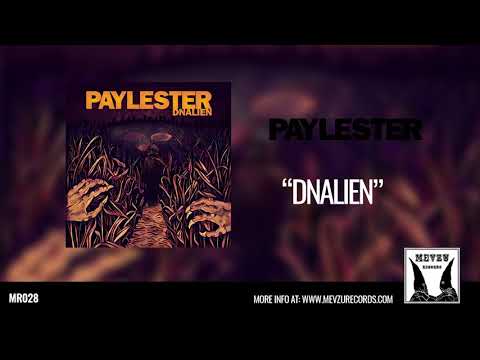 Paylester - DNALIEN (Full Album)