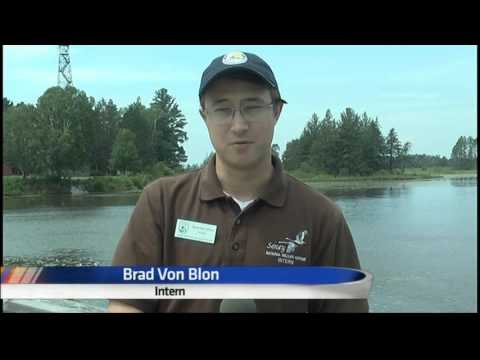 Wonderful wildlife, opportunities at Seney Wildlife Refuge