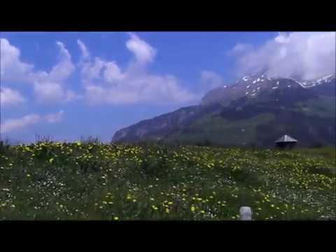 Gerschnialp, Engelberg Switzerland