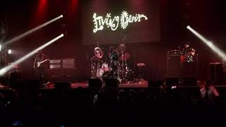 Living Colour - What&#39;s Your Favorite Color + Which Way To America (Vivid 30th Anniversary)