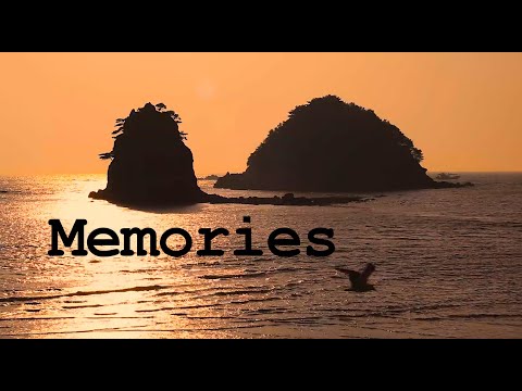 Mindless Paresthesia - Memories