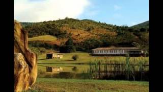 MILTON NASCIMENTO - MORRO VELHO