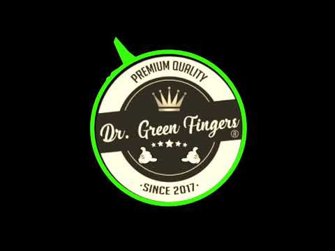 Lil Windex - Broke Hoes