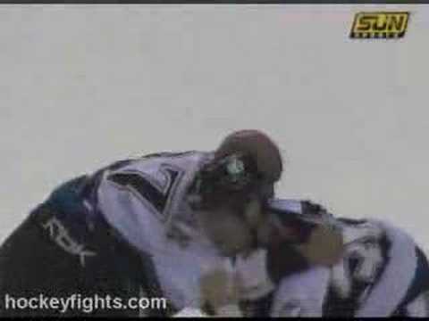 Donald Brashear vs Andre Roy