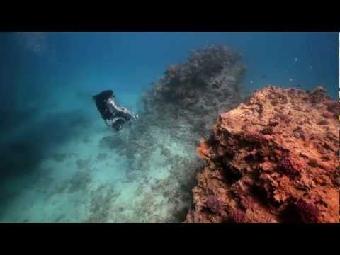 Paralyzed From the Waist Down, She Still Found a Way to Scubadive