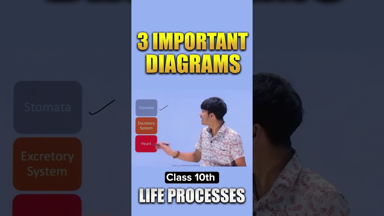 3 Important Diagrams Of Life Processes | Class 10th #class10 #biology #cbse2025