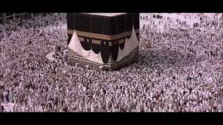 Timothy Leary The Root of Life