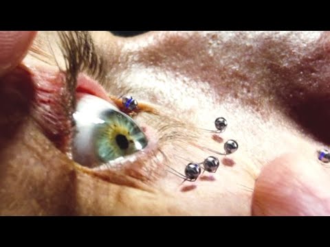 Lab-Created Clones Uncover the Truth and Begin a Deadly Escape