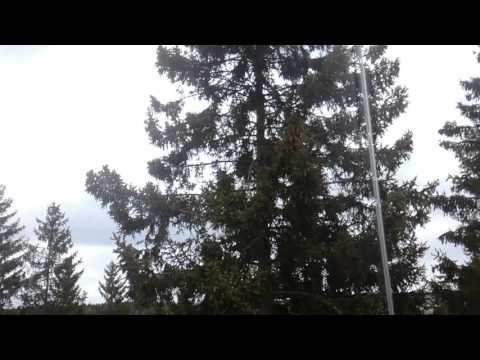 Ei oikeen oo kesäinen ukko ilma