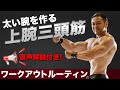 上腕三頭筋のワークアウトをフル公開!太い腕を作るためのポイント【音声解説付き】