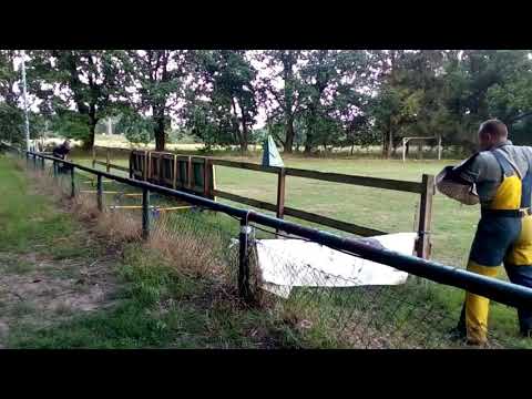 Fee vom Schwarzen Grat (Bliss & Bullweih )