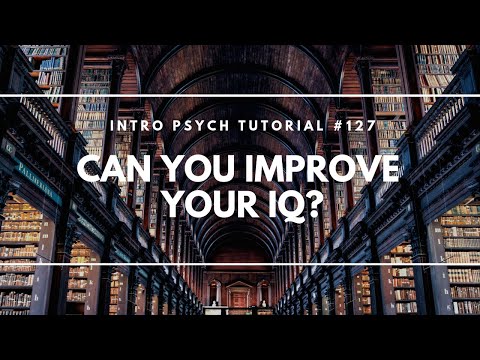 What is Intelligence Intro Psych Tutorial 112