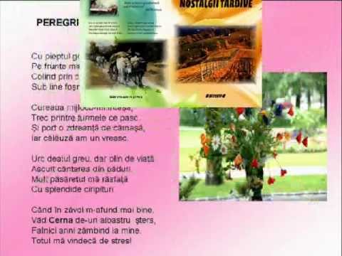 DUMITRU  GHERGHINA - NOSTALGII  TARDIVE