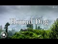 Hound Dog W Lyrics Elvis Presley Version