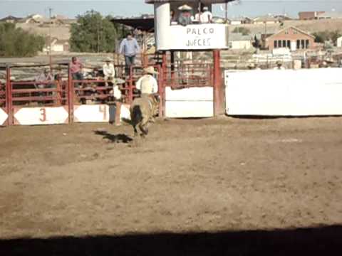 Jineteo de yegua #3 (16 Oct. 2011)