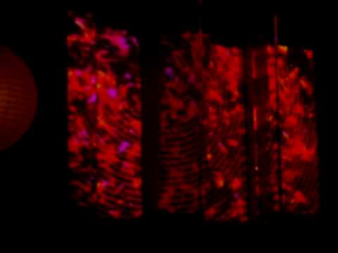 Robag Wruhme mixes LIVE! 01/29/2010 - Part I