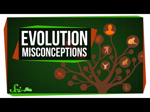 Common Myths About Evolution Dispelled