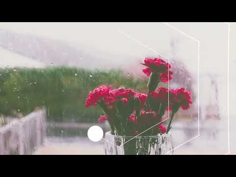 造形デザイン学科 気持ちのいいモーショングラフィックス／Pleasant motion graphics