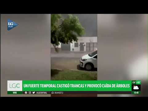 Un fuerte temporal castigó Trancas y provocó la caída de árboles y voladura de techos