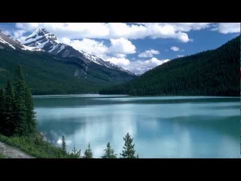 Loons - Sounds of Nature For Relaxation