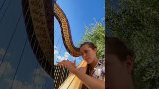 Eleonora Zanetti Harp