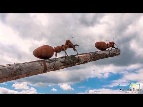 Impressionen aus Pfalzgrafenweiler Timelapse Shooting