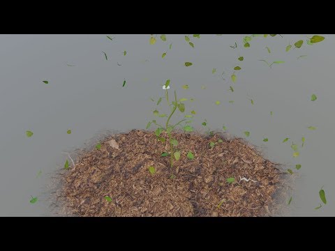 animating a growing plant in blender 2.8 tutorial