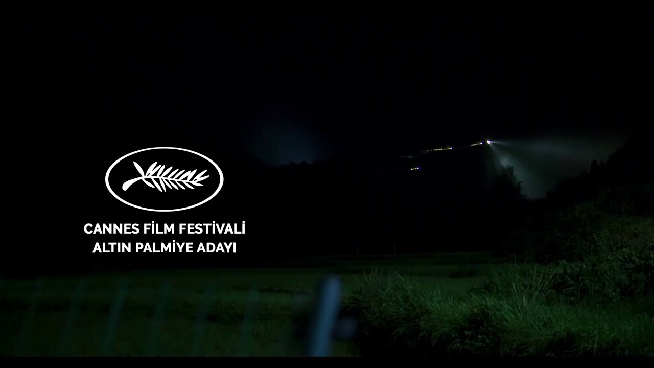 GÜNEY İSTASYONUNDA RANDEVU / THE WILD GOOSE LAKE 🛋️ #BaşkaSinemaSalonda