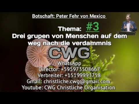 Peter Fehr - Drei Gruppen von Menschen auf dem Weg der Verdammnis