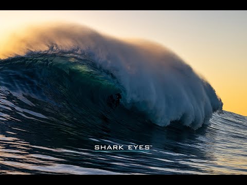 The future of wetsuit designs - Shark Eyes Gen² Hybrid wetsuit