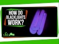 How Do Blacklights Make Things Glow?