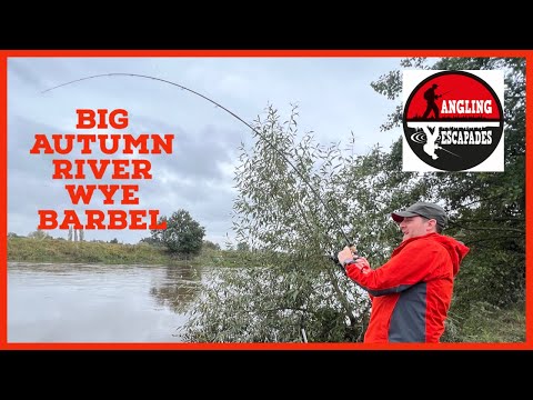 Big River Barbel fishing on an Autumn River Wye