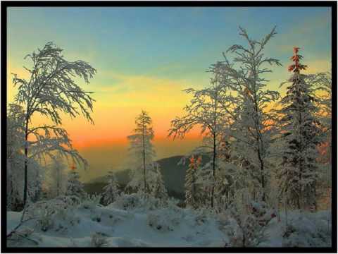 Winterlicht Winterlicht