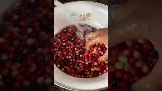 Download lagu Rujak Boni #food #shortsviral mp3