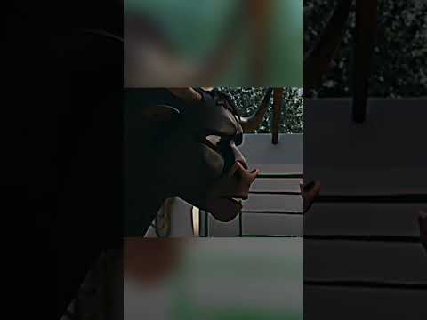 This is why you shouldn't mess with calm people: Lessons from Ferdinand#movies #animation #