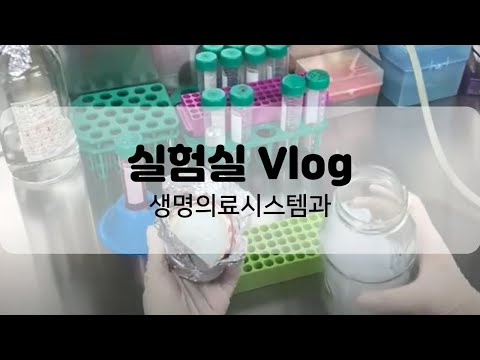 생명의료시스템과 I 실험실 Vlog