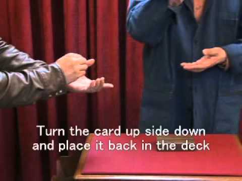 Drawing Card Case by Mikame